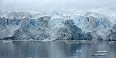 Крупнейший айсберг размером в два Санкт-Петербурга вышел в свободное  плавание в Южном океане -ФОТО