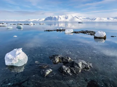 В ближайшее время решится судьба крупнейшего на планете айсберга -  Ведомости.Экология