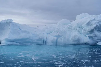 Крупнейший в мире айсберг А23 может растаять в ближайшее время