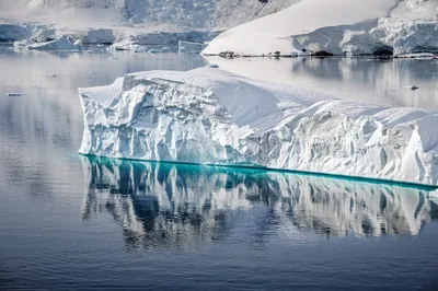 Самый большой в мире айсберг оторвался от дна и поплыл к Южному океану -  Афиша Daily