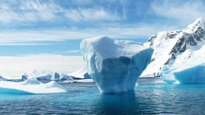 Гигантский айсберг приплыл к берегам Ньюфауленда | Euronews