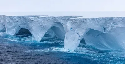 На самом большом в мире айсберге обнаружены таинственные образования