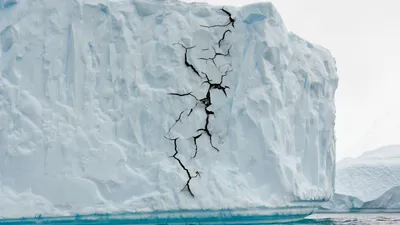 Самый крупный айсберг планеты может растаять в теплых водах