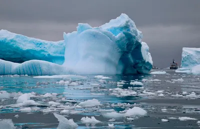 Самый крупный айсберг в мире начал движение. Чем это грозит? - Минская  правда
