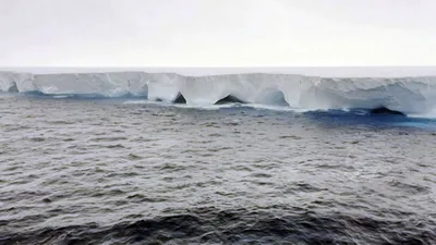Западные айсберги | Subnautica вики | Fandom