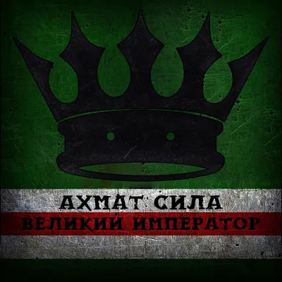 Ахмат — сила!»: Тимати выпустил клип и отправил фанатов к Кадырову - KP.RU