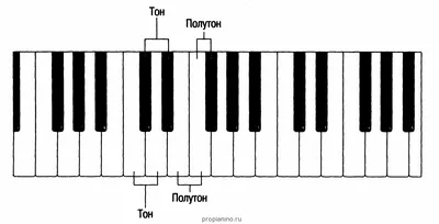 Ноты известных песен по цифрам для синтезатора, фортепиано | Ноты, Табы для  укулеле, Табулатура