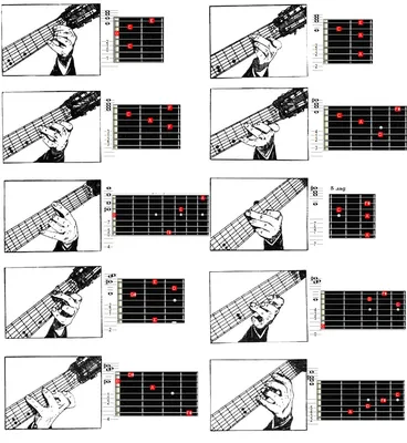 Укулеле Chord Chart Standard Tuning. Аккорды Для Укулеле G Major Базовые  Для Начинающих. Таблица Развития Аккордов Фотография, картинки, изображения  и сток-фотография без роялти. Image 96149724