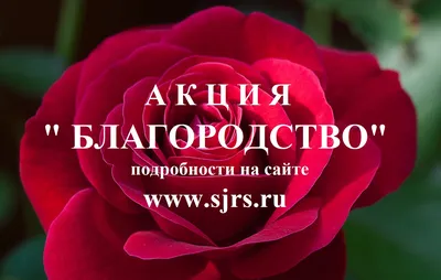 Профилактическая акция \"За безопасность вместе!\" | Министерство труда и  социальной защиты Республики Беларусь. Официальный сайт