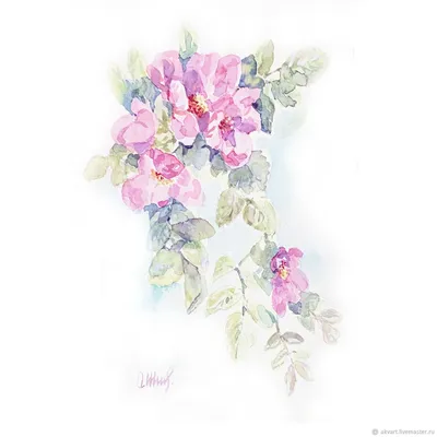 Фотообои Нежные акварельные цветы на белом фоне артикул Fl-600 купить в  Оренбург|;|9 | интернет-магазин ArtFresco