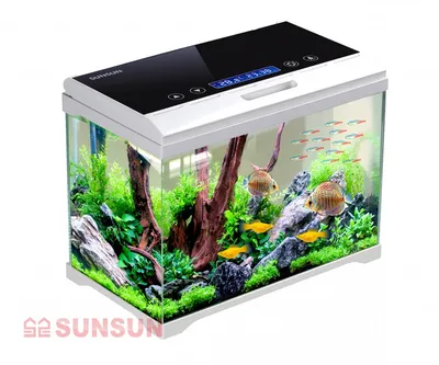 Круглый прозрачный аквариум для маленькой рыбы, 1 л, 3 л, 4,5 л | AliExpress