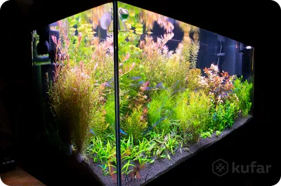 Купить Красивые искусственные аквариумные растения, рыбные водные растения,  трава, орнамент, пластиковый декор | Joom