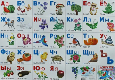 Русский алфавит с картинками - скачать и распечатать бесплатно