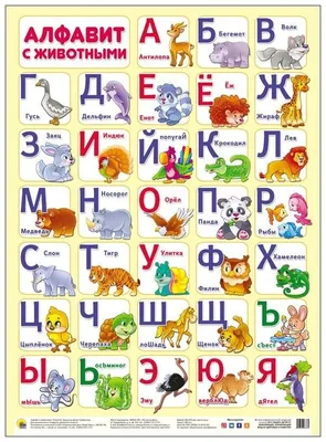 Плакат. Алфавит с животными. Учебные пособия для дошкольников — купить в  интернет-магазине по низкой цене на Яндекс Маркете