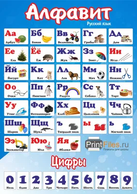 Красочный Русский Алфавит Рисунками Названиями Детского Образования  Векторное изображение ©mariaflaya 202040756