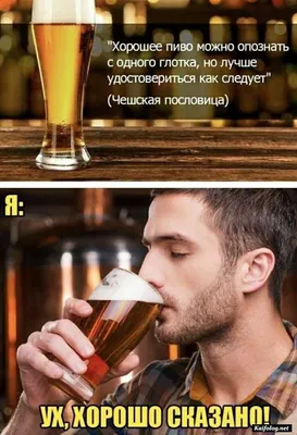 Юмор про алкоголь (15 фото)