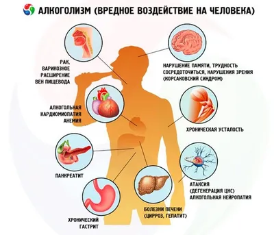 Существует ли женский алкоголизм - советы врачи | РБК Украина