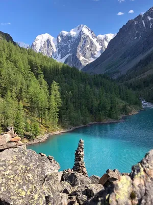 Уникальная природа Алтая | Altai Travel Guide