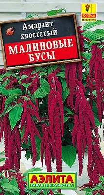 Амарант трехцветный Эрли Сплендор - купить семена цветов с доставкой по  Украине в магазине Добродар
