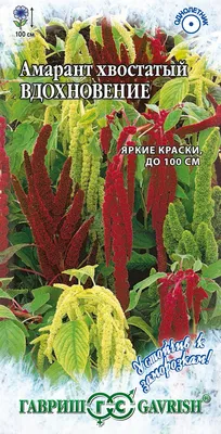 Купить Искусственный амарант, ветка, бордо, new оптом в Украине: цена,  описание, характеристики › Flowers Decor