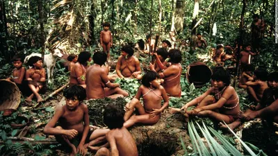 Сокровище Амазонки, 2003 — описание, интересные факты — Кинопоиск