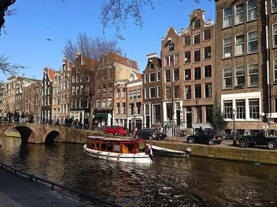 Музей на Амстеле больше не «Эрмитаж Амстердам» | Точка ART | Дзен