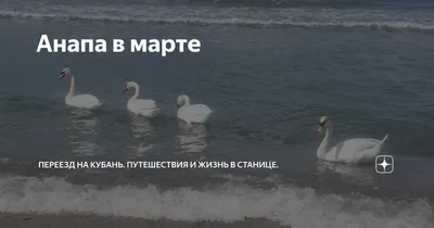 Что посмотреть и как отдохнуть в Анапе: Чёрное море, достопримечательности,  развлечения и маршруты прогулок — Яндекс Путешествия
