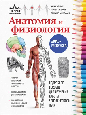 анатомия человека, миома матки картинки фон картинки и Фото для бесплатной  загрузки
