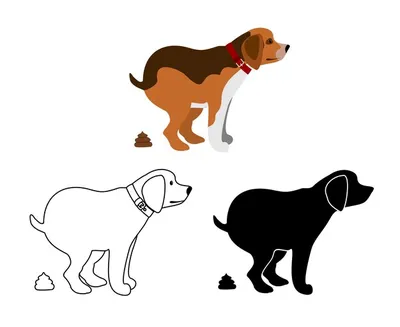 Картинки Хаски Собаки 2 Язык (анатомия) смотрит Животные Черный фон