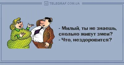 Утро по-настоящему доброе с нашими шутками: уморительные анекдоты на 26  января - Телеграф