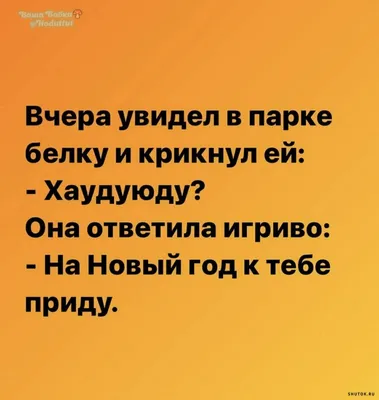 16 анекдотов в воскресение и жена вернувшаяся под утро | Mixnews