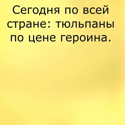 Анекдоты И Смешные Картинки в Instagram: «С 8 марта!🌺 #тюльпаны #8марта  #всемирныйженскийдень #праздник #цветы #цена #правдажизни #шу… | Картинки,  Смешно, Тюльпаны