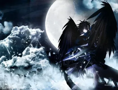 ангел с черными крыльями | Dark angel wallpaper, Dark anime, Anime fallen  angel