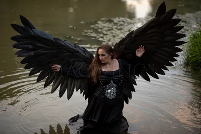 Черные ангелы | lungerl | Дзен