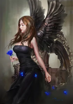 Черные крылья ангела, дьявольские крылья для взрослого (ID#1573817093),  цена: 7000 ₴, купить на Prom.ua