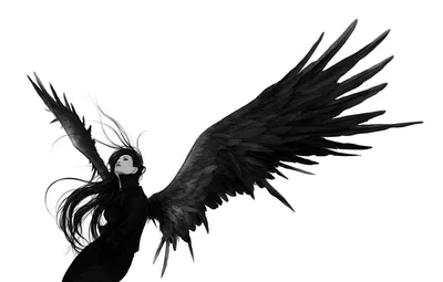 Крылья ангела большие черные карнавальные - купить по доступным ценам в  интернет-магазине OZON (1123268458)