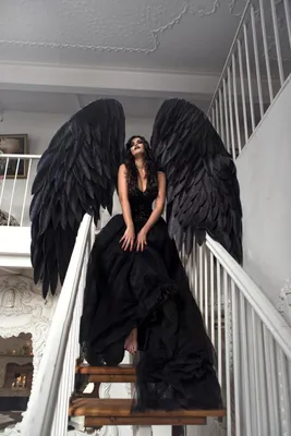 Аватар с ангела с чёрными крыльями, который сидит с фонарём — Скачать  картинки