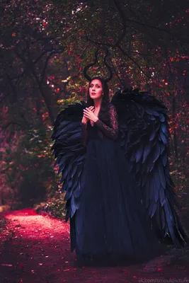 Крылья \"Черный ангел\" - купить за 29000 руб: недорогие крылья перьевые в СПб