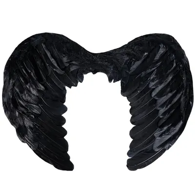 Карнавальные крылья ангела / Реквизит для костюма на Хэллоуин Черный -  купить по доступным ценам в интернет-магазине OZON (1142839852)