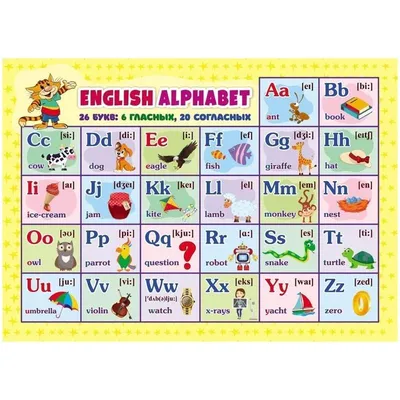 Книга Английский алфавит Обучающие плакаты купить по цене 99 ₽ в  интернет-магазине Детский мир