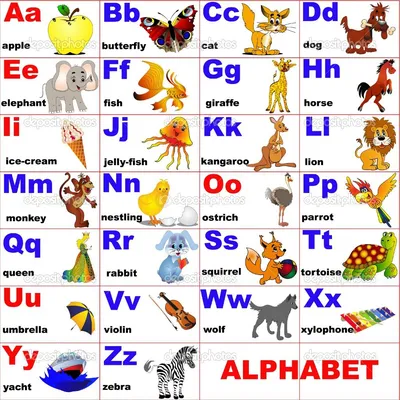 Красочный Английский Алфавит Изображениями Различных Мультяшных Животных  Названиями Детского Образования Векторное изображение ©mariaflaya 211070788