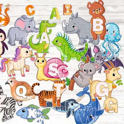 Плакат с заглавными буквами английского алфавита, милый мультфильм животных  зоопарка и вещи. для детского сада и дошкольного образования. карты для  изучения английского языка | Премиум векторы