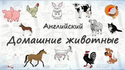 Книга Мой первый Английский. Abc. Английский Алфавит - купить книги по  обучению и развитию детей в интернет-магазинах, цены на Мегамаркет |