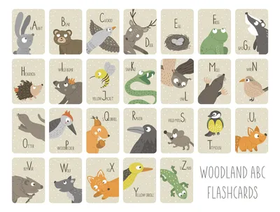Английский алфавит для детей с милыми животными | Премиум векторы