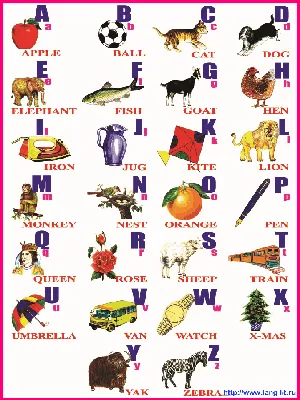 Плакат настенный обучающий английский алфавит для детей - купить с  доставкой по выгодным ценам в интернет-магазине OZON (190357143)
