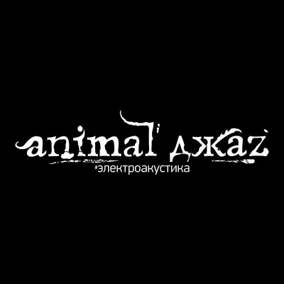 15 апреля группа Animal ДжаZ представила новый альбом и исполнила свои  лучшие песни в московском клубе BASE! — Рок-Маяк