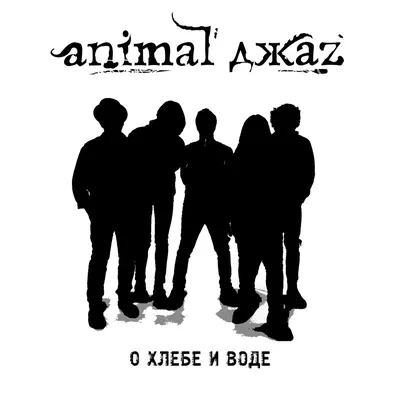 Новый альбом группы Animal ДжаZ 2018 | musicgraph | Дзен