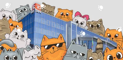Dance Animation Cat, Анимация, кошка Like Mammal, карнавор png | PNGEgg