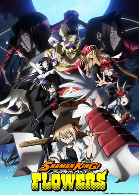 SHAMAN KING ANIME: RELEASE DATE CONFIRMED! TRAILER OUT! | Shaman king,  Anime, Anime king