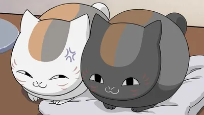 аниме кошка смотрит с открытыми глазами за какие то кусты, милый кот  картинка аниме, кошка, милый фон картинки и Фото для бесплатной загрузки